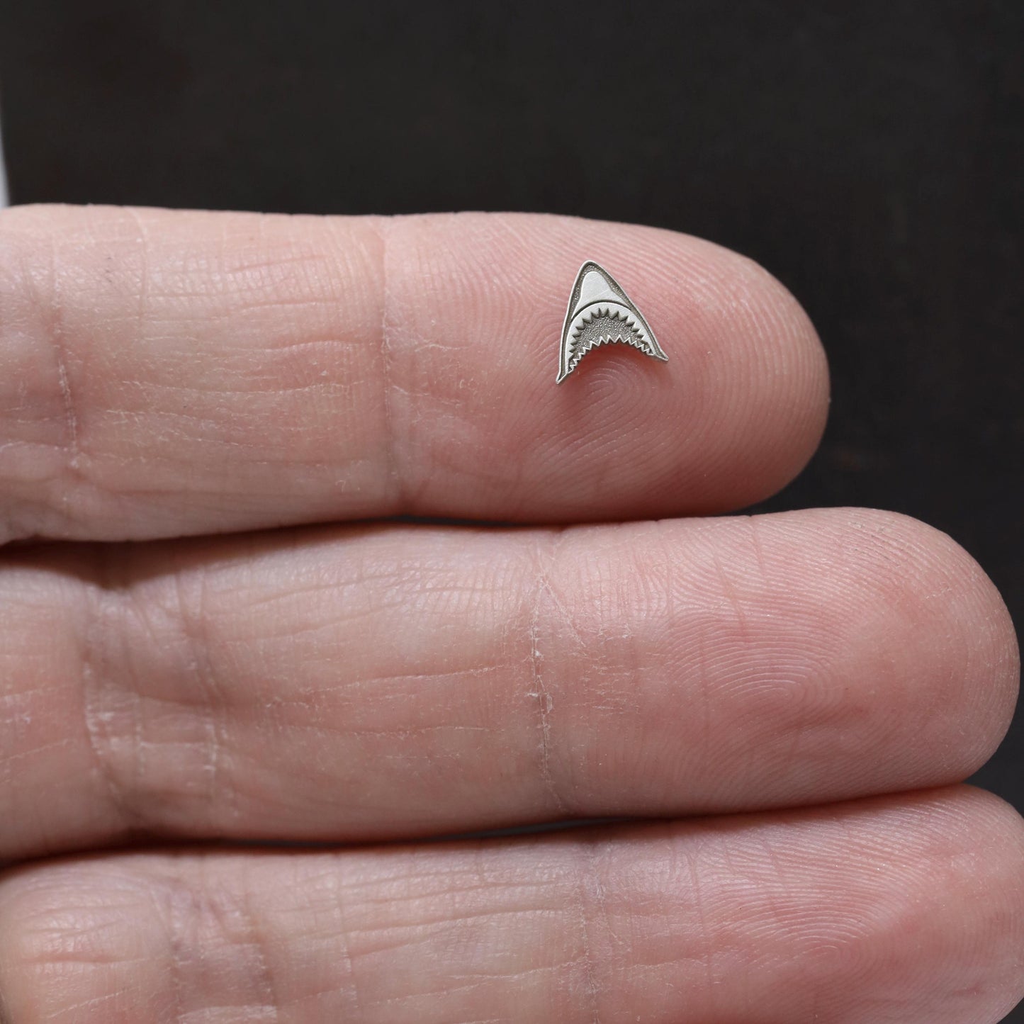Shark Bite Jaws Accent Charm Embellishments in Sterling Silver Solderable and Jewelry Making Components