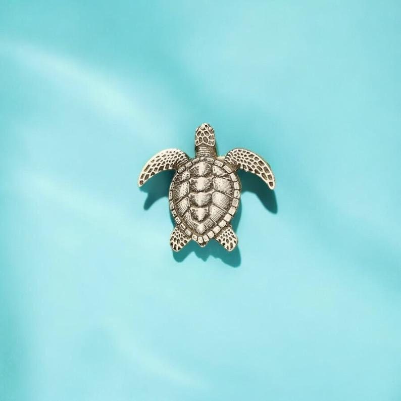 May include: A silver turtle figurine on a light blue background.