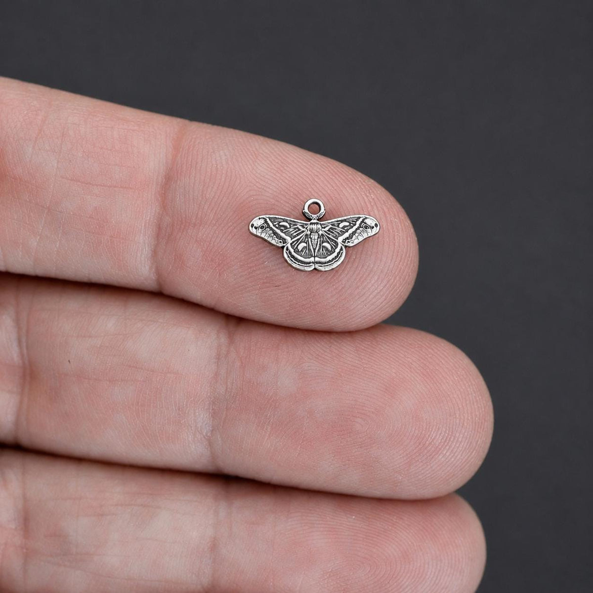 Cecropia Moth Charm and Accent