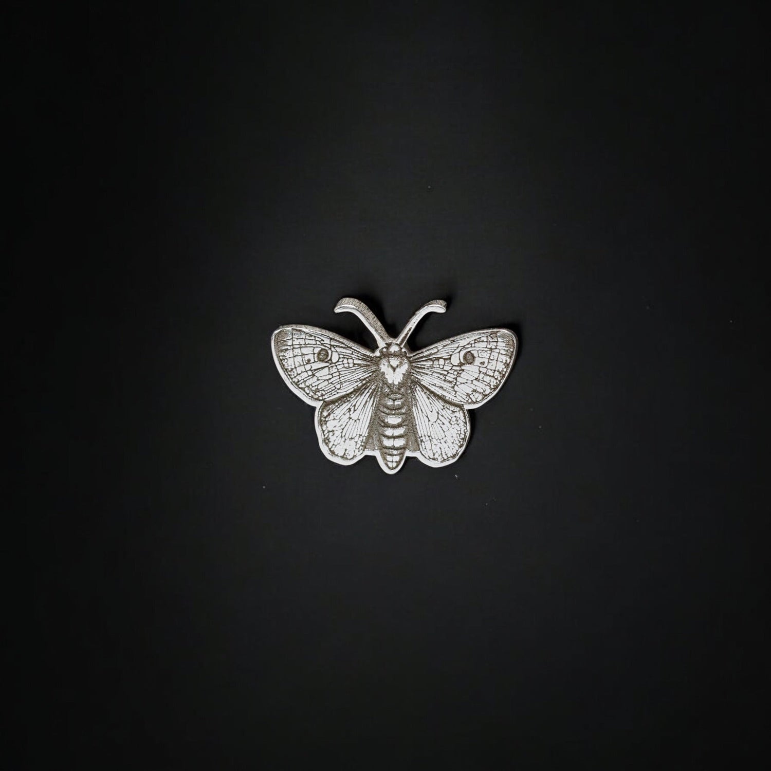 Insects