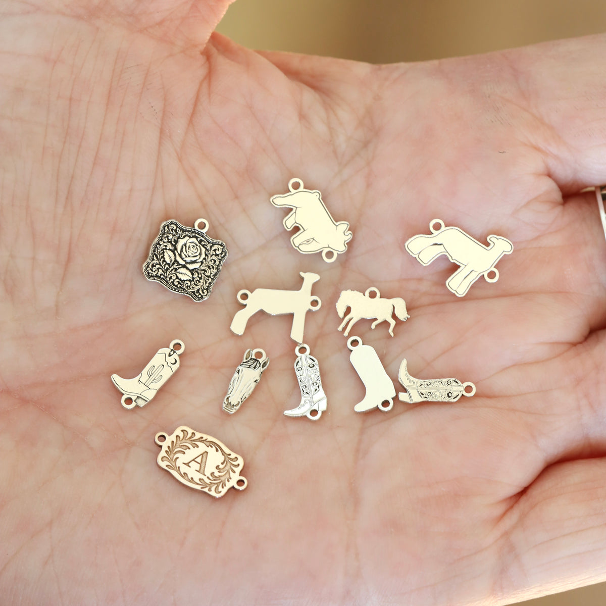 Western #2 Charm Destash Mega Sale!
