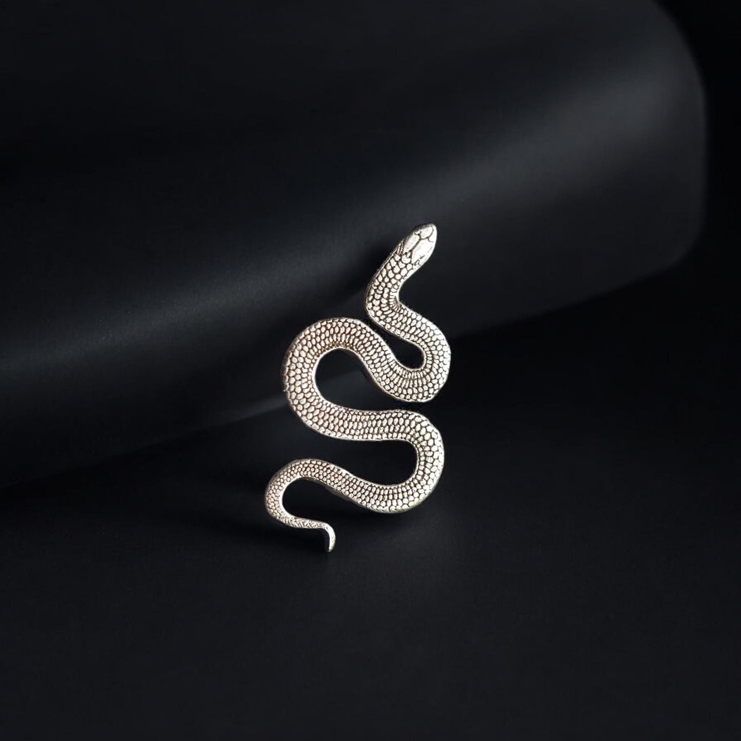 May include: A silver snake charm with a textured surface.