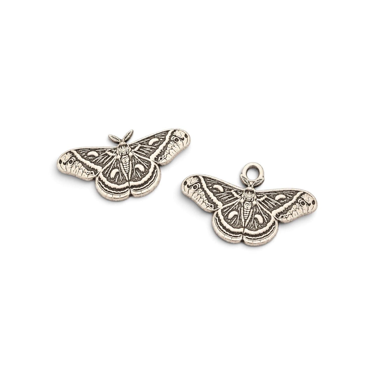 Cecropia Moth Charm and Accent
