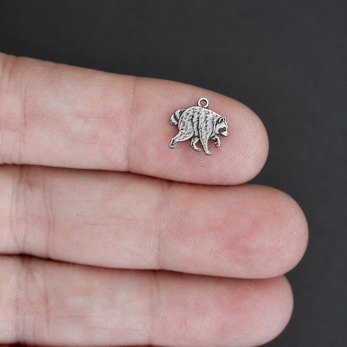Jimothy the Raccoon Charm